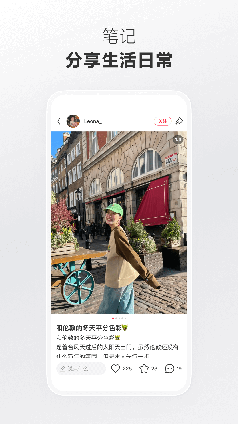 夏日向日葵田中飞舞的凤尾蝶动态壁纸